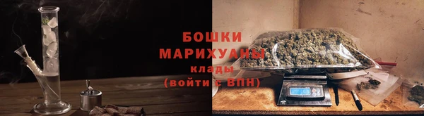 тгк Белокуриха