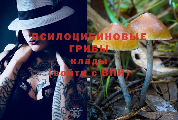 ALPHA PVP Беломорск