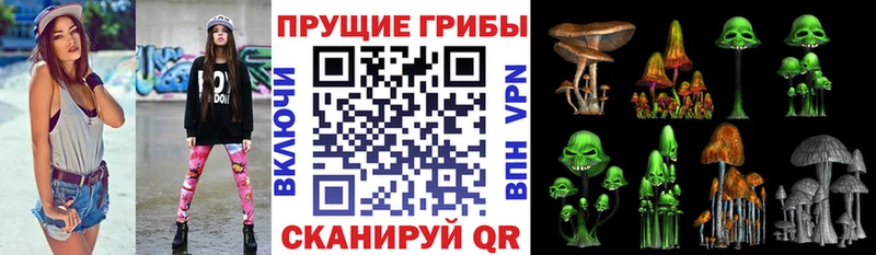 Галлюциногенные грибы Cubensis  маркетплейс формула  Гудермес 