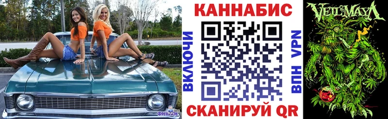 Конопля семена  дарнет шоп  Гудермес 